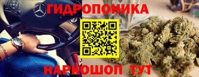 стафф Туймазы