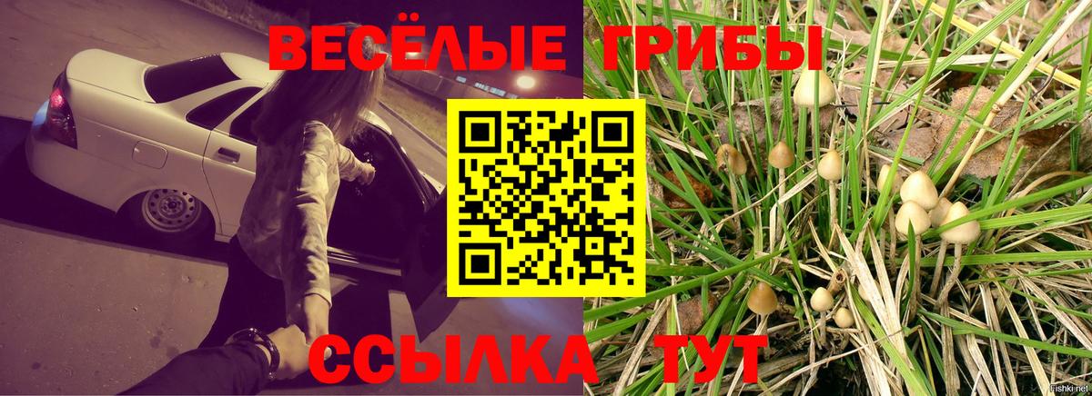 Бор  Псилоцибиновые грибы Magic Shrooms  Псилоцибиновые грибы мицелий  Вход с VPN 