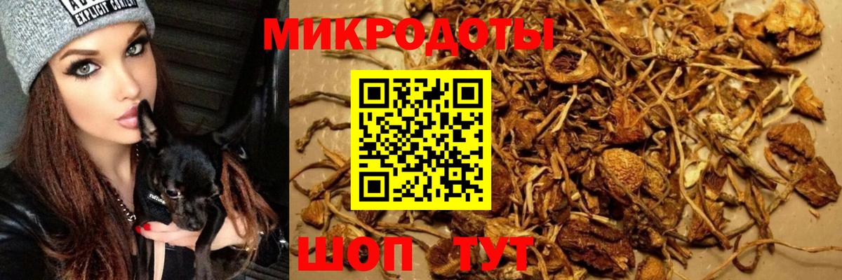 Псилоцибиновые грибы MAGIC MUSHROOMS Бор